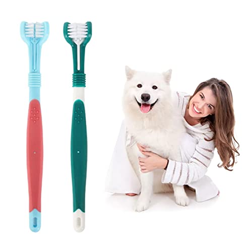 Hund Zahnbürste, 4 Stück Haustier Zahnbürste,Zahnbürsten für Hunde,Pet zahnbürste, 2 Dreifachkopf-Hundezahnbürsten und 2 Langem Griff Hundezahnbürste,Zahnbürste Hund für Hunde und Katzen