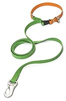 Algopix Similar Product 2 - West Paw Jaunts Dog Leash with Comfort