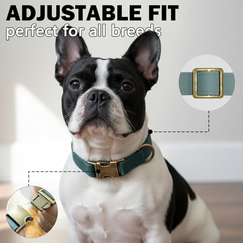 Image of B&F Dog Collar for Medium Dogs Silicone Leather Dog Collars Soft Flexible Waterproof Odor-Proof Durable Thick Classic Adjustable Pet Puppy Collar (Green, Medium (12.5-20 inch Neck))