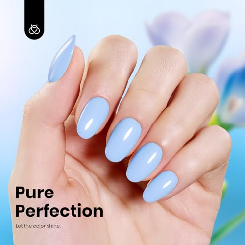 Image of beetles Gel Polish Light Blue Gel Nail Polish Hema Free Soak Off Uv LED Nail Lamp 15ml DIY Home Manicure Salon Gifts for Women Girls Blue Memories