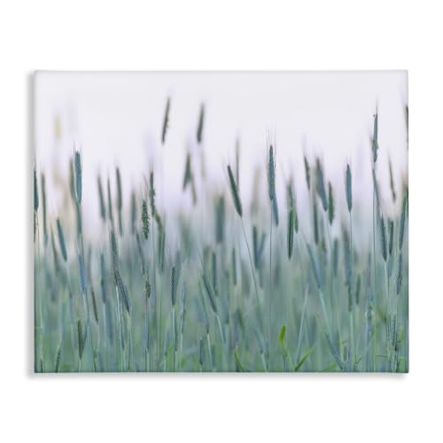 Stupell Industries 'Green Wheat Field Sprigs'| Canvas Art