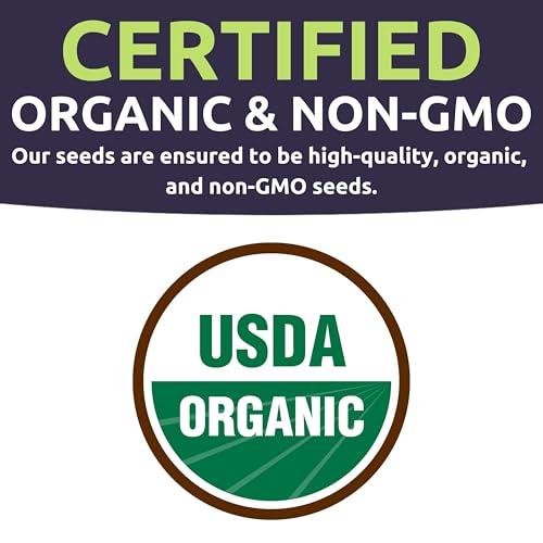 Catnip Seeds – Two Seed Packets! – Over 880 Open Pollinated Non-GMO Seeds – Sweet Yards Seed Co. - Image 4