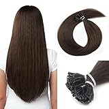 Neitsi U Tip Hair Extensions Human Hair, 12 Inch Hair Extensions Real Natural U Tip Extensions Human Hair, Pre Bonded Keratin Tip Hair Extensions, Chocolate Brown Extensions Human Hair Straight Silky 50 Strands(12 Inch, 2#)