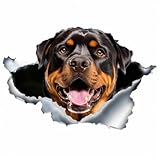 Design 3D : effet de déchirure 3D très réaliste avec motif Rottweiler détaillé, crée une illusion optique impressionnante grâce à l'aspect papier fissuré