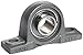 Hub City PB251DRWX1-1/4S Pillow Block Mounted Bearing, Normal Duty, High Shaft Height, Relube, Setscrew Locking Collar, Wide Inner Race, Ductile Housing, 1-1/4" Bore, 1.82" Length Through Bore, 1.687" Base To Height