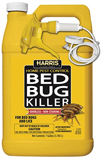 Bed Bug Killer Gal