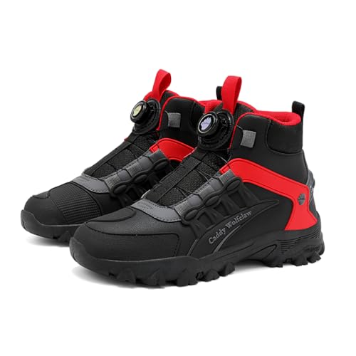 [Omina] oCNV[Y Y WjA CfBOu[c  I[goC̕یC C_[u[c lp nCJbg oCNpu[c Robgu[c  lC _C VtgK[h h ~ H~p (ubNbh,