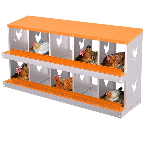 10-Panel Galvanized Steel Nesting Box for Chicken Coop - Removable Drop Tray & Ventilation - Easy Clean Laying Box for Hens, Ducks - Rustproof Design Protects Eggs