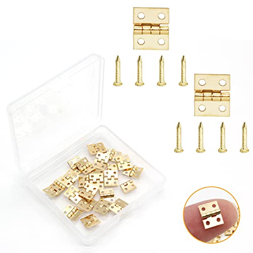 Biaungdo Mini Brass Hinges 10x8mm Golden 24 Pcs