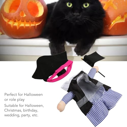 Disfraz para perro y gato Pirata de Navidad y Halloween miniatura 2