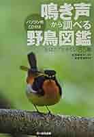 NHK録音集より　季節の小鳥 Amazon.co.jp: NHK四季に鳴く 日本の野鳥ベスト10: ミュージック