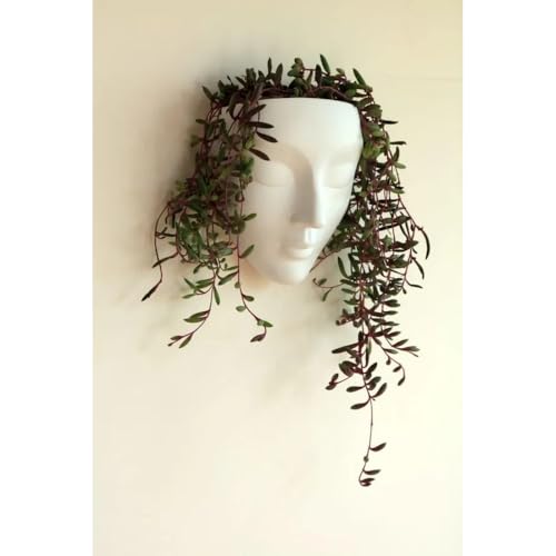 Image of Ceramic Lady Face Wall Hanging Planter | 17.5 x 13.5 cm Abstract Face Vase for Indoor Wall, Living Room, Balcony & Home Decor (White)