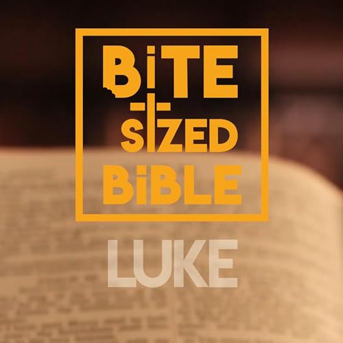 『Bite-Sized Bible - Luke』のカバーアート