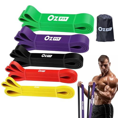OZFIT Resistance Bands Set, Exercise Bands for Working Out, Pull Up Assistance Bands Workout Equipment for Home Gym, Physical Therapy Bands for Stretching & Muscle Training