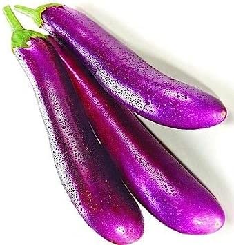 ez longo viola melanzana 250 semi OGM NON crescono E65:Graines