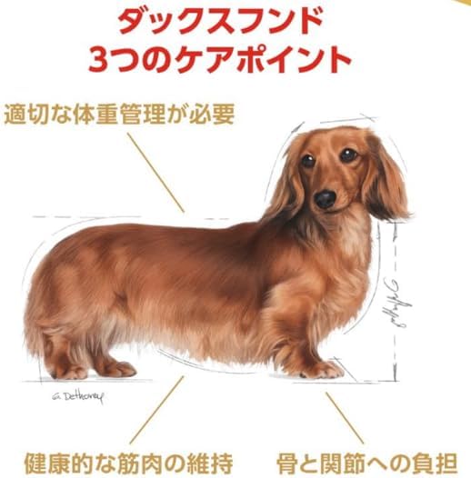 ロイヤルカナン bhn ダックスフンド 中・高齢犬用 800g&times;4個セット ニューパッケージ
