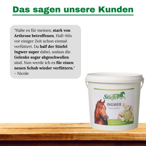 Stiefel Ingwer für Pferde, 100% naturbelassener Ingwer zur Unterstützung bei Atemwege & der Gelenkgesundheit, Positive Wirkung auf das Bronchialsystem, 1kg