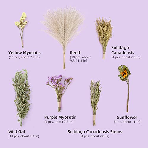 Image of Niteangel Harvest Wind Series Hamster Bedding Mate for Syrian Dwarf Hamsters Gerbils Mouse Mice Degus or Other Small-Sized Pets (Flower Version)