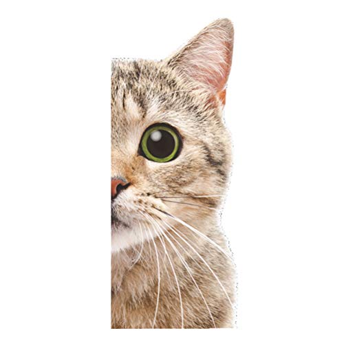 Calcomanias De Gatito Al Mejor Precio De Amazon En Savemoney Es