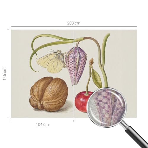 Papier peint lavable motif plante et papillon avec colle incluse