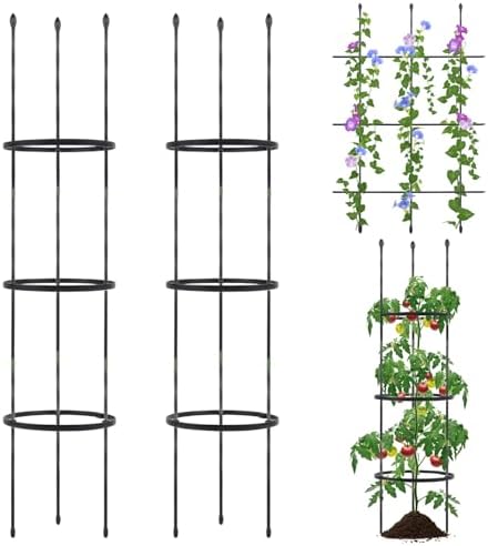 Comment Faire Pousser Des Courgettes Verticalement – Conseils D'experts