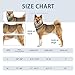 HAPPYHAO Adjustable Dog Knee Brace with Collar, Canine Knee Brace for Torn ACL Hind Leg, Osteoarthritis, Post-Operative Recovery, etc. (Right Leg, XL)