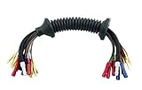 Bandel Automobiltechnik GmbH | Bandel-Online | Schneller Versand | Top-Preise | Riesen-Auswahl | Renomierter Händler