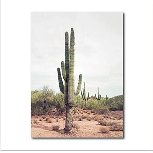 Affiche Grand Cactus Toile Paysage Décoration Murale Salon 50x70cm