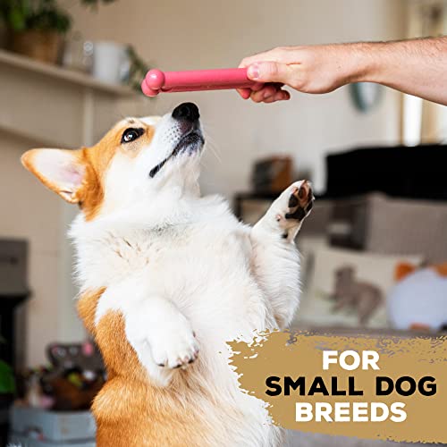 TastyBone Festive Nylon Dog Chew Toy for Small Dogs (Partridge), Christmas Dog Present - Image 4