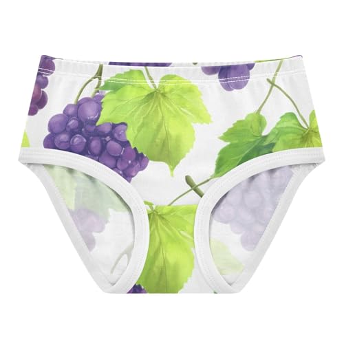 Purple Grape Green Vine White Toddler Girls Underwear 2t Cotton Panties Little Girl Stylish Undies Kids Briefs