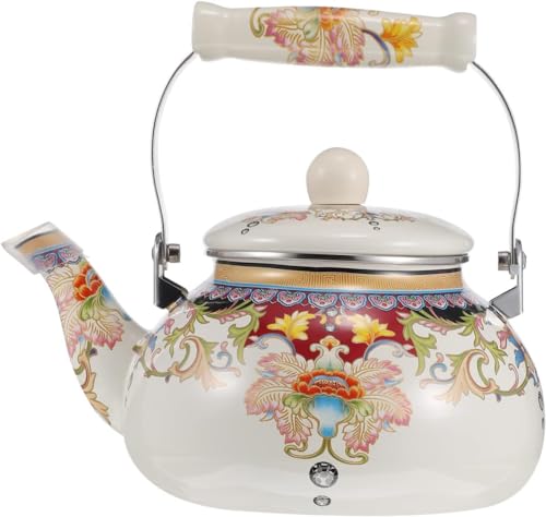 Bouilloire à thé japonaise et chinoise en émail traditionnel avec base en acier inoxydable feux