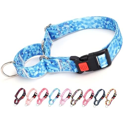 Martingale Collar for Dogs, Blue Dog Collar for Small Medium Large Dogs, Adjustable Safety Buckle Dog Collar, Perfect Boy and Girl Collar for Training, Walking, Hunting (M) A18 M (Neck 17"-2
