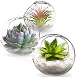 SunGrow Glass Plant Terrarium Globes with Metal Stand, 13-inches Tall, Black S-Hook Plant Stand, Includes Pair of 4.7-inches Crystal Clear Glass Vivariums, 2.4-inches Opening