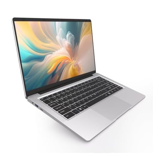 SAINTDISE 14 inch Laptop PC 6GB DDR4 128GB SSD, Laptop Computer Dual-Core Cerelon N4000 (up to 2.6GHz), Portable Computer Support WiFi5, BT5.0. USB3.0 * 2, Mini HDMI*1.