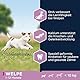 Eukanuba Welpenfutter mit frischem Huhn für kleine Rassen, Premium Trockenfutter für Junior Hunde, 3 kg