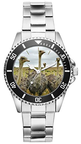 KIESENBERG 20508 I[Xgb`Mtg iACfA t@EHb`, uXbg