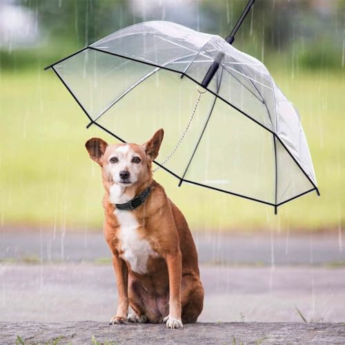 Esoes Hund Transparente Regenschirm Pet Umbrella Skalierbar Hundeschirm Welpen mit Leine und Kette für Spaziergänge im Freien bei Schnee oder Regen (A)