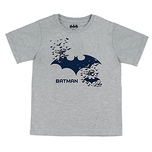 Image of Brand - Jam & Honey Boy's Batman Regular Fit T-Shirt (JHWBBMBCT024 Grey 2-3Y)