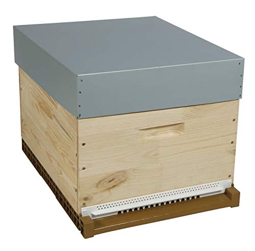 cote ruche Dadant Pribois Discovery Beehive with Vertical Spun Frame