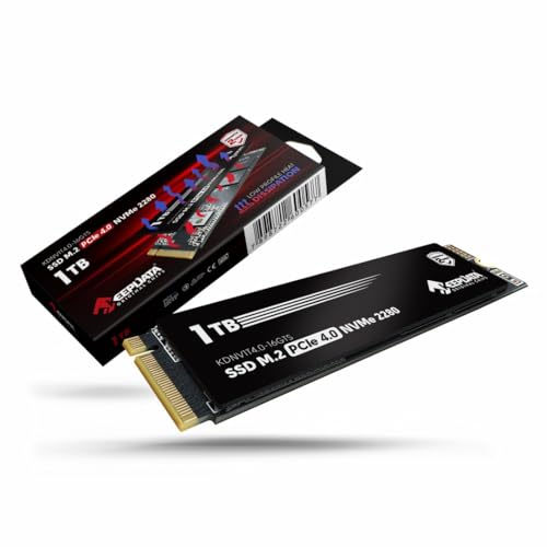 SSD M.2 NVME 4.0 1TB KEEPDATA KDNV1T4.0-16GTS | Amazon.com.br