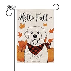 Fall Great Pyrenees