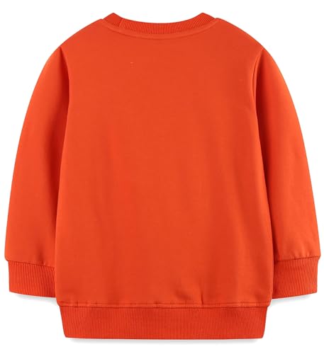 Image of Hongshilian Unisex Kids Cute Cartoon Cotton Sweater Shirt
