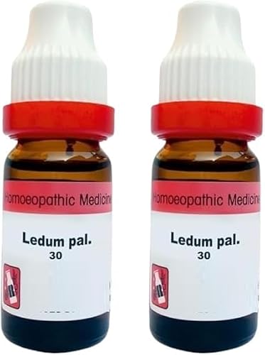 BT 2.p.a..c.k LEDUM PAL 30 11ML German Drops