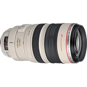 Canon EF 100-400mm f/4.5-5.6L is USM Lens Accessory (2577A002) Bundle — photo 2 of 6