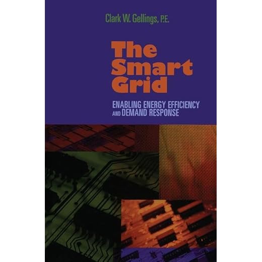 The Smart Grid: Energy Efficiency Insights