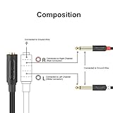 J&D 3.5mm to Dual 1/4 TS Stereo Breakout Cable, Gold Plated Audiowave Series 3.5mm 1/8 inch TRS Female to 2x6.35mm 1/4 inch TS Male Mono Audio Cable Splitter for Spekers, Amplifiers, Mixs, 4.5 meter - Image 2