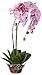 Nearly Natural 4643-PP Phalaenopsis with Glass Vase Decorative Silk Flower Arrangement, Purple