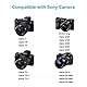 Hisewen 2 Pack NP-FW50 NPFW50 Akku und Dual USB Ladegerät Kompatibel mit Sony ZV-E10, A6000, A6100, A6300, A6400, A6500, A7, A7 II, A7S, A7S II, A7R, A7R II, NEX-7, NEX-6 Kamera.
