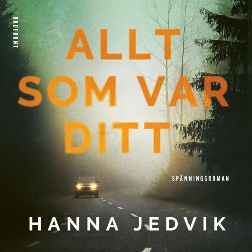 Allt som var ditt cover art