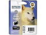 Epson original-t0967–noir-cartouche d'encre pour stylus photo blister r2880 c13T09674010 ePS sT pHR2880 lB 11,4 6210pages ink light blk ml
